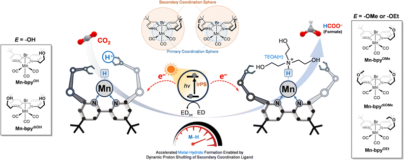 image file: d5sc09412g-f2.tif
