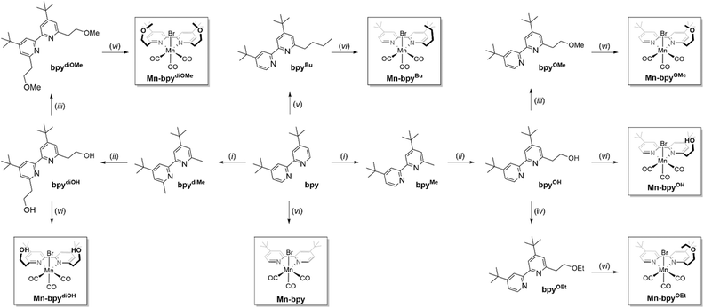 image file: d5sc09412g-s1.tif
