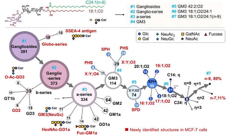 image file: d5sc09445c-f3.tif