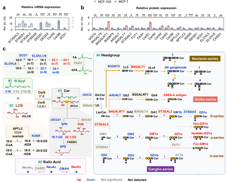 image file: d5sc09445c-f5.tif