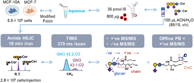 image file: d5sc09445c-s1.tif