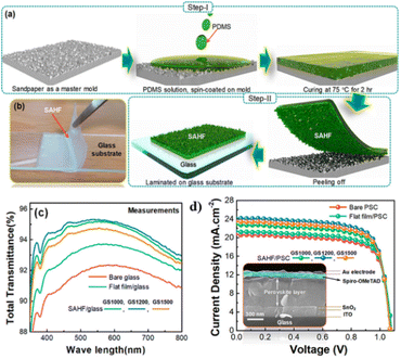 image file: d5sc09456a-f10.tif