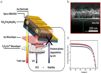 image file: d5sc09456a-f13.tif