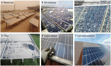 image file: d5sc09456a-f15.tif