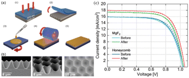 image file: d5sc09456a-f9.tif