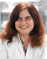 image file: d5sc09456a-p2.tif