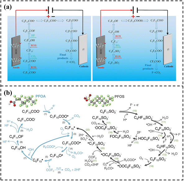 image file: d5sc09459c-f8.tif