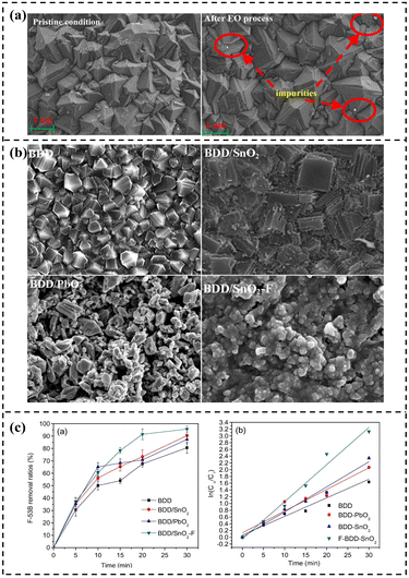 image file: d5sc09459c-f9.tif