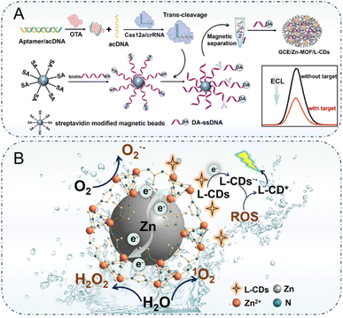 image file: d5sc09465h-s1.tif