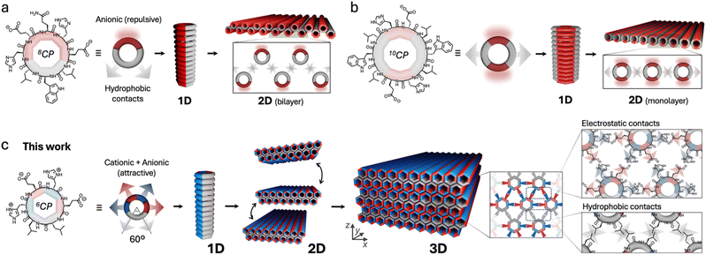image file: d5sc09489e-f1.tif