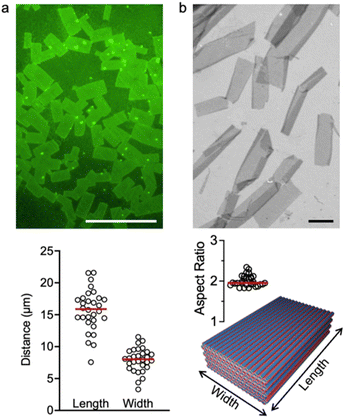 image file: d5sc09489e-f3.tif
