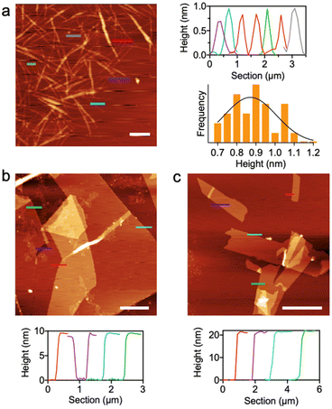 image file: d5sc09489e-f4.tif