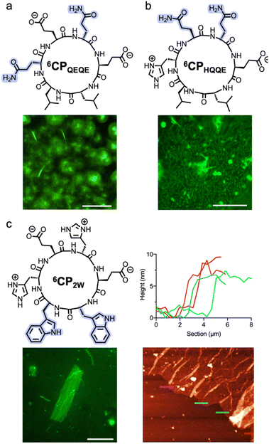 image file: d5sc09489e-f6.tif