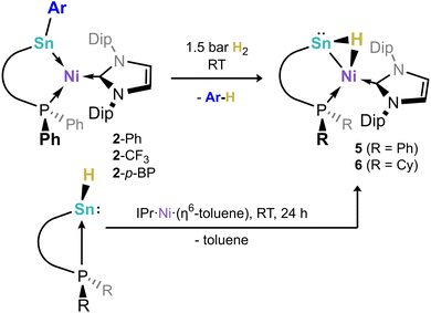 image file: d5sc09496h-s2.tif