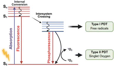 image file: d5sc09499b-f1.tif