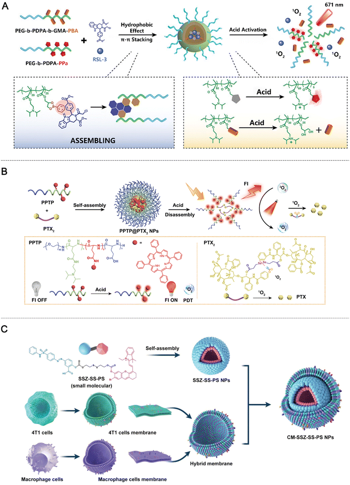 image file: d5sc09499b-f12.tif