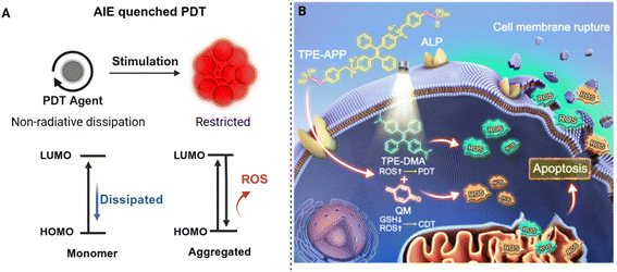 image file: d5sc09499b-f14.tif