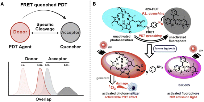 image file: d5sc09499b-f2.tif