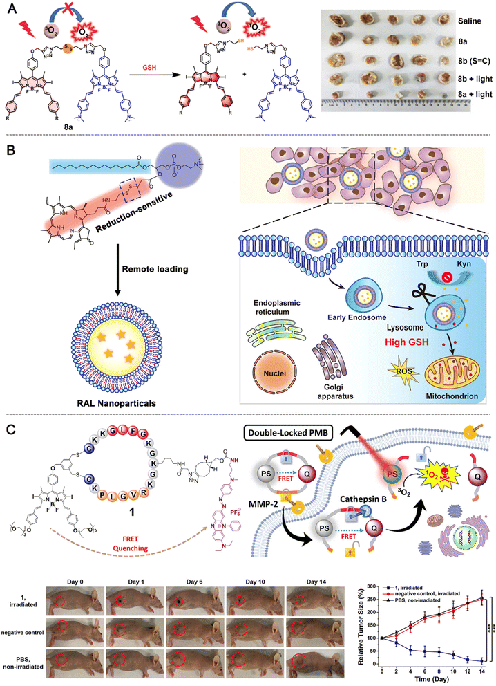image file: d5sc09499b-f3.tif