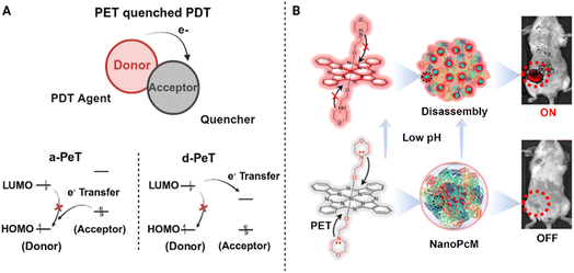 image file: d5sc09499b-f5.tif