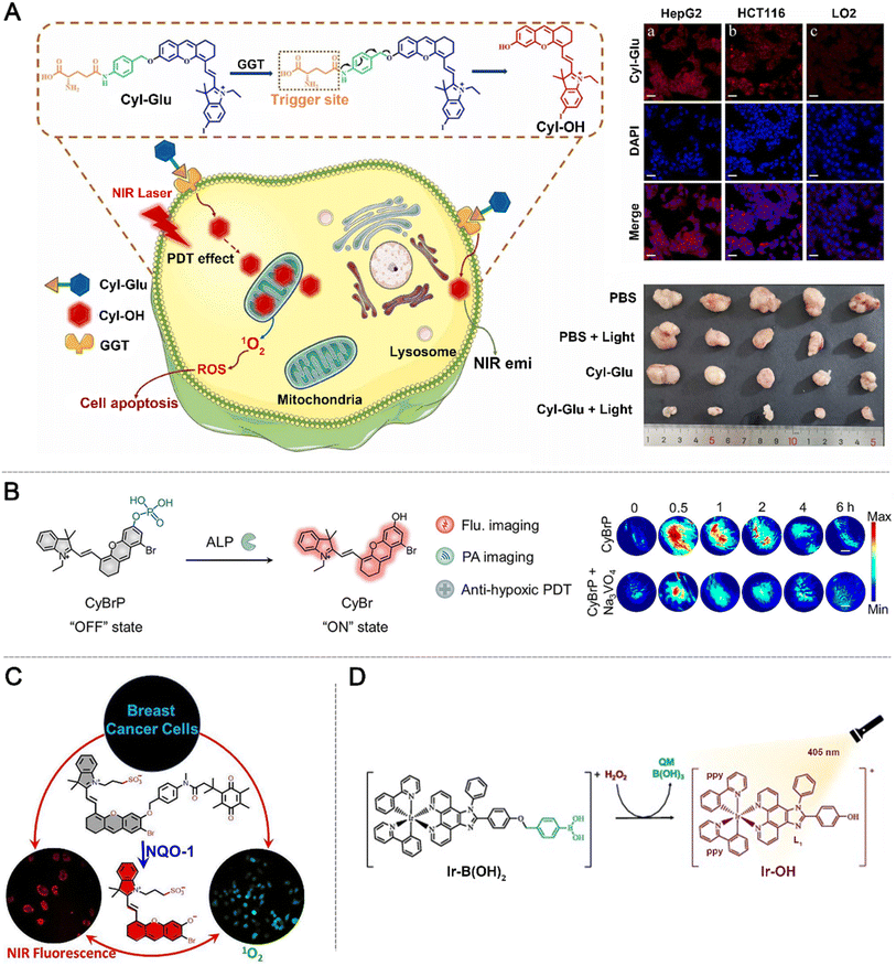 image file: d5sc09499b-f9.tif