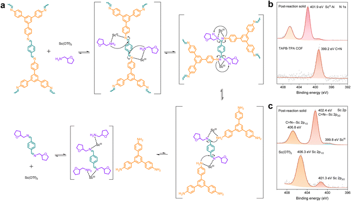 image file: d5sc09502f-f6.tif