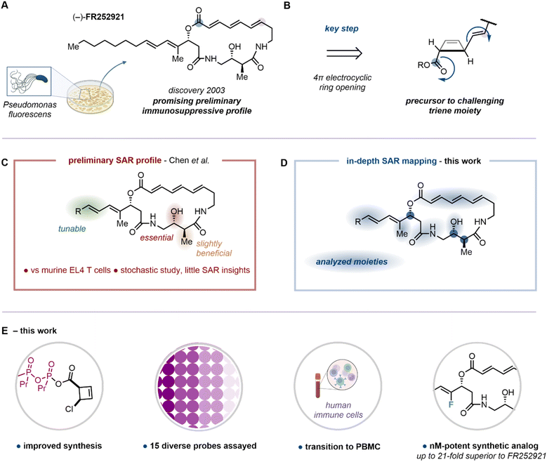 image file: d5sc09554a-f1.tif