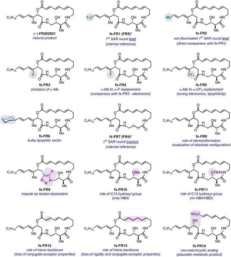 image file: d5sc09554a-f2.tif