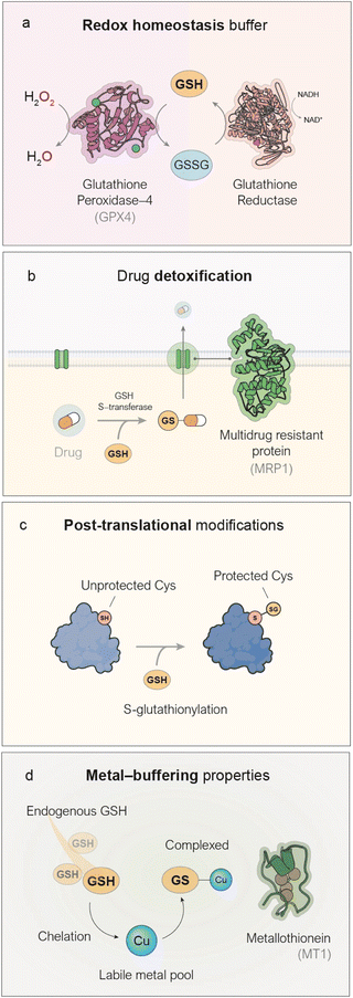 image file: d5sc09556e-f1.tif