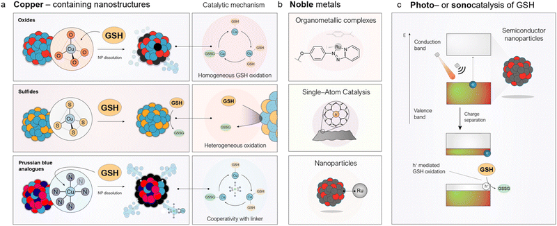 image file: d5sc09556e-f4.tif
