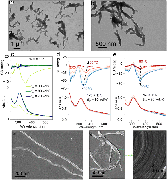 image file: d5sc09567k-f3.tif