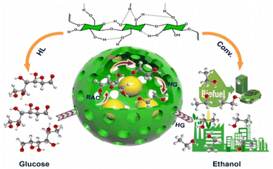 image file: d5sc09595f-f8.tif