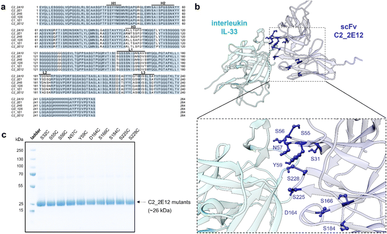 image file: d5sc09634k-f2.tif