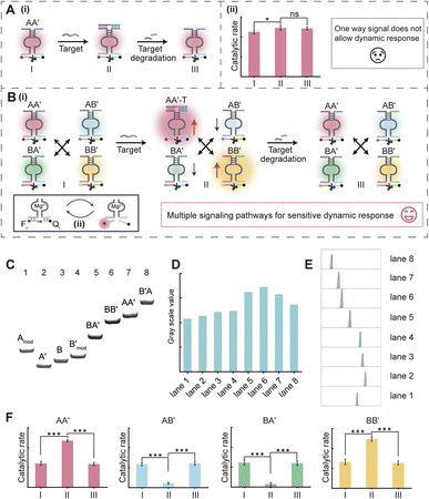 image file: d5sc09638c-f1.tif