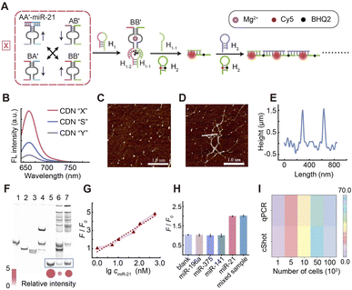 image file: d5sc09638c-f3.tif