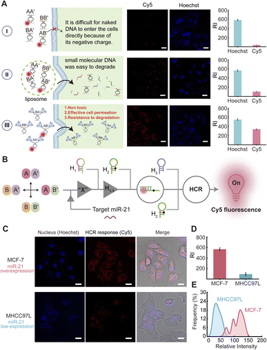 image file: d5sc09638c-f4.tif