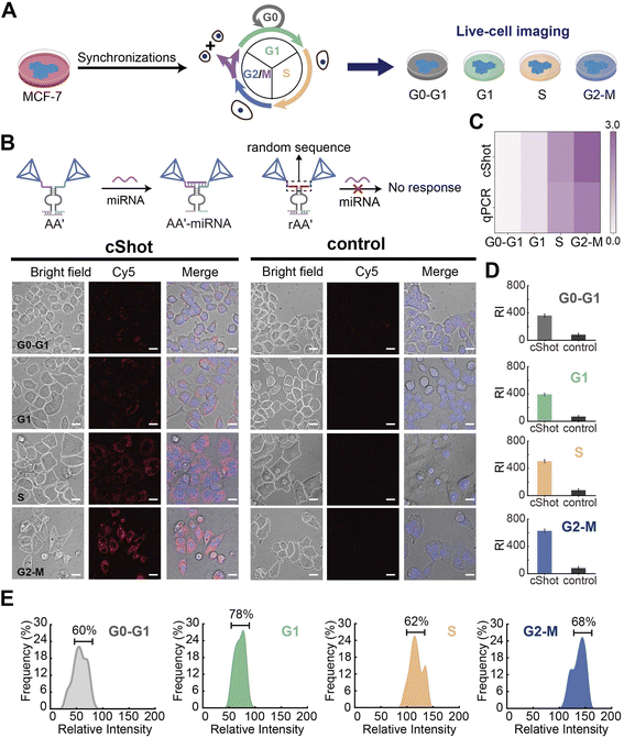 image file: d5sc09638c-f5.tif