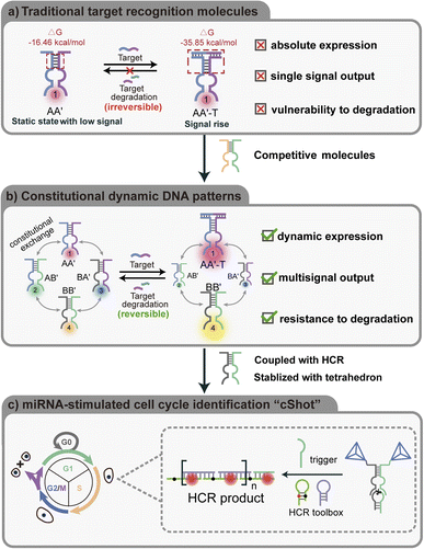 image file: d5sc09638c-s1.tif