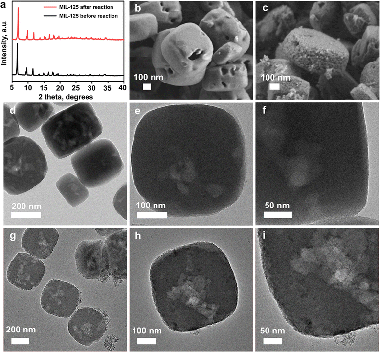 image file: d5sc09647b-f3.tif