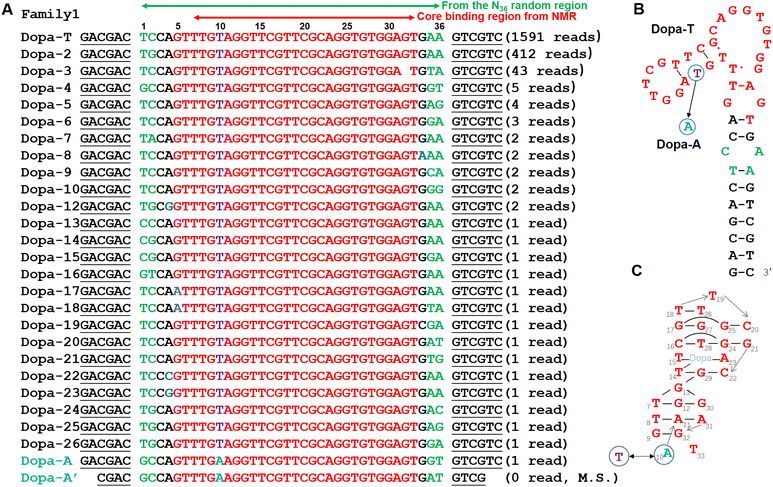 image file: d5sc09660j-f1.tif