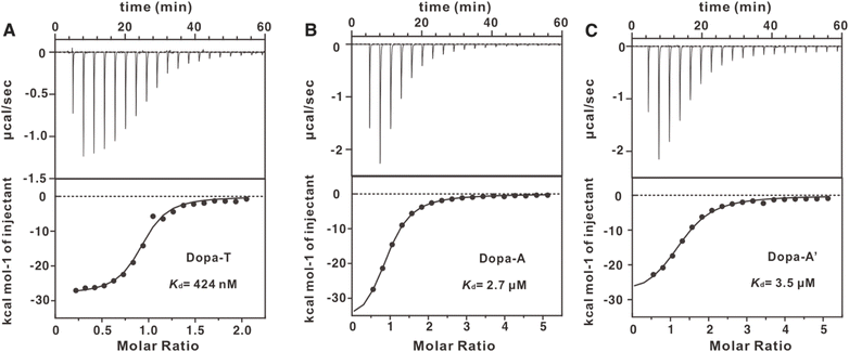 image file: d5sc09660j-f2.tif