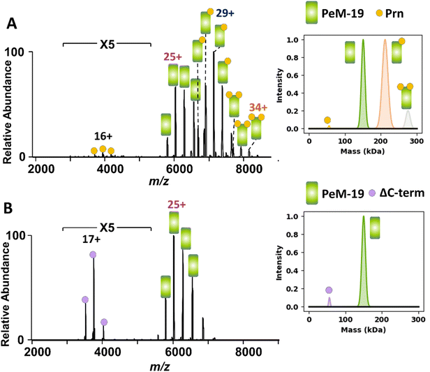 image file: d5sc09702a-f5.tif