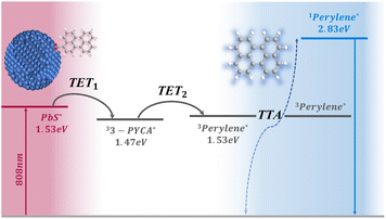 image file: d5sc09759b-f1.tif
