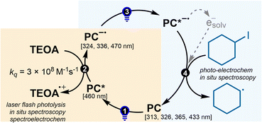 image file: d5sc09778a-s3.tif