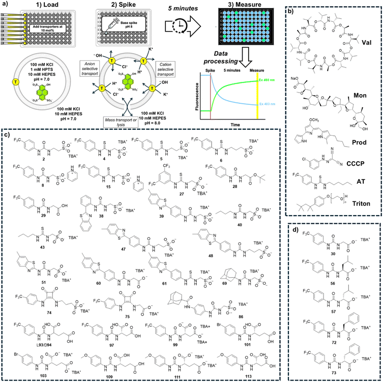 image file: d5sc09781a-f1.tif
