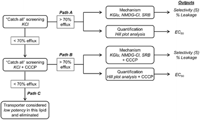 image file: d5sc09781a-f2.tif