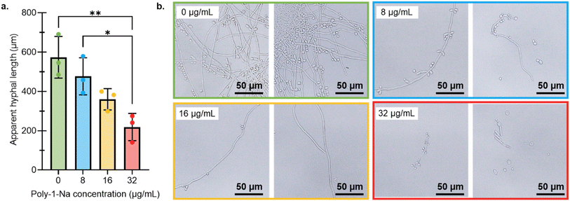 image file: d5sc09816e-f4.tif