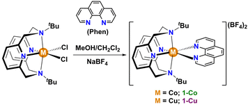 image file: d5sc09844k-s1.tif