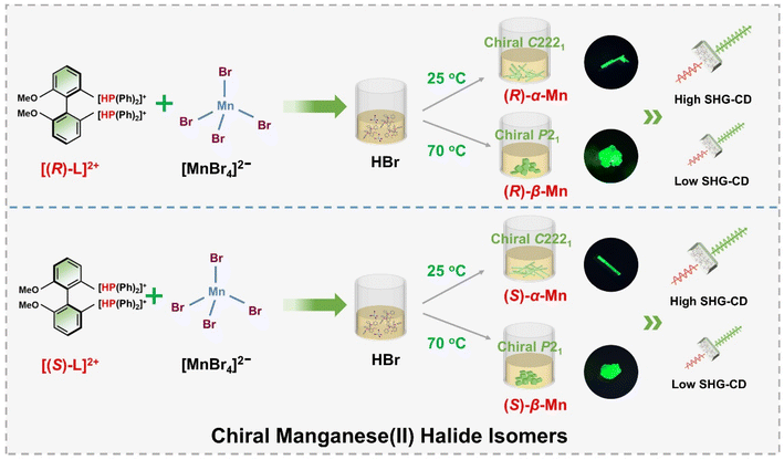 image file: d5sc09866a-s1.tif