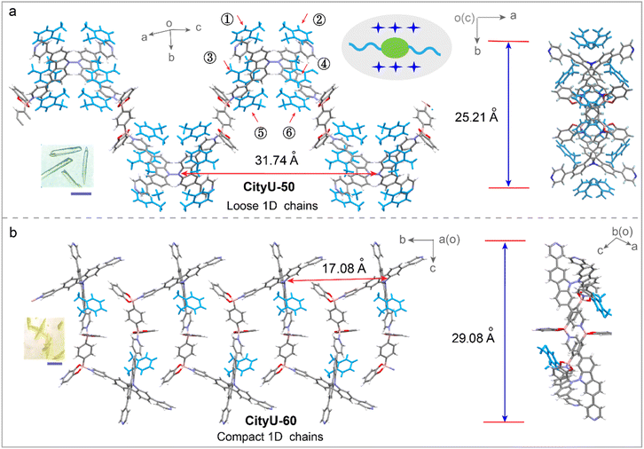 image file: d5sc09875k-f2.tif
